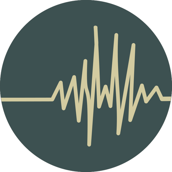 Richter Scale Rings logo